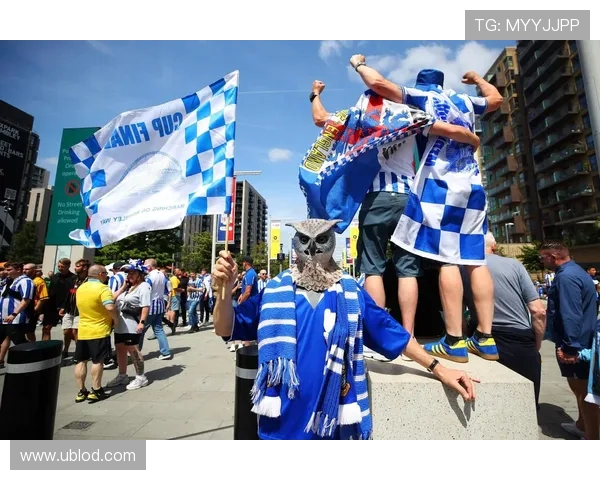 英超粉丝最多的顶级球队 英超粉丝最多的顶级球队