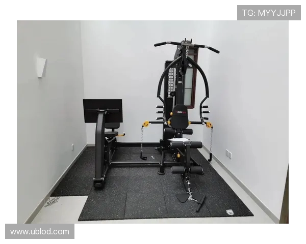 预算三千到三万如何选购健身器材?价格指南 预算三千到三万如何选购健身器材?价格指南