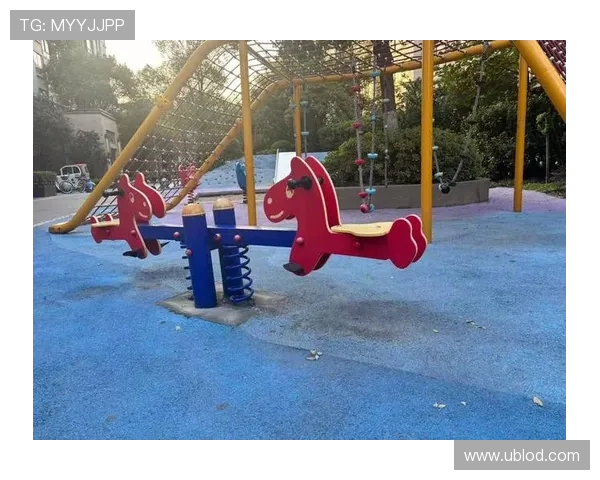 高龄友好型社区健身器械功能解密