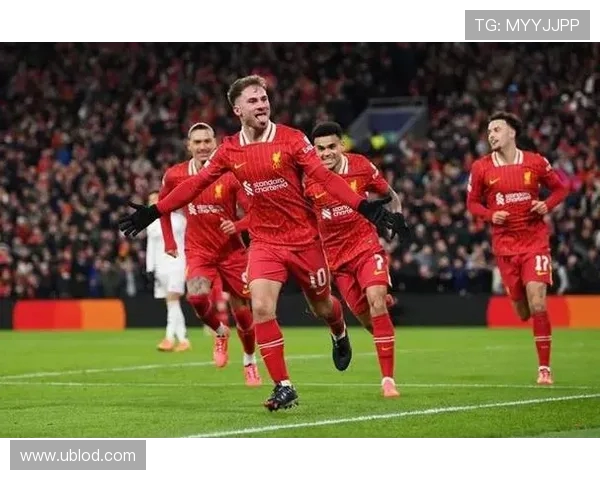 假如德甲扩军至20支球队,新增球队可能是谁? 假如德甲扩军至20支球队,新增球队可能是谁?