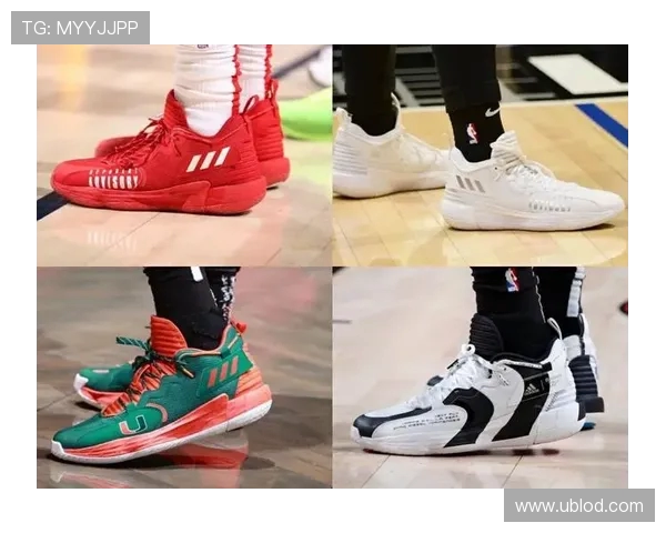 2018年NBA球鞋销量榜出炉詹姆斯战靴蝉联榜首库里杜兰特紧随其后