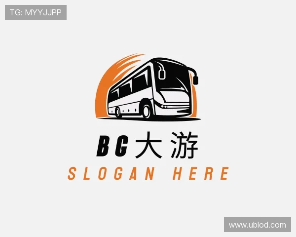 了解bg大游